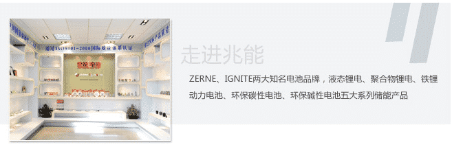 千亿游戏平台电池展厅